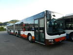 (256'005) - Bamert, Wollerau - (SZ 24'744) - MAN (ex Vorf�hrfahrzeug) am 7.