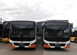 (257'834) - Bamert, Wollerau - (041'538 + 041'525) - MAN am 23.