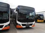 (257'836) - Bamert, Wollerau - (041'525) - MAN am 23.