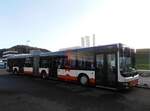 (258'033) - Bamert, Wollerau - (SZ 24'744) - MAN am 30.