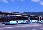 (277'733) - BOGG Wangen b.O.