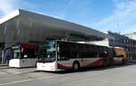 (282'331) - RVBW Wettingen - Nr.