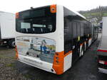 (260'891) - Bamert, Wollerau - SZ 79'922 - Neoplan (ex VBZ Z�rich Nr.