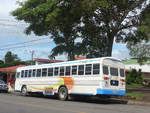 (211'330) - Transportes Tilar�n, Tilar�n - 3491 - Bluebird am 15.