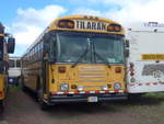 (211'843) - Transportes Tilar�n, Tilar�n - 2270 - Bluebird am 21.
