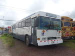 (211'844) - Transportes Tilar�n, Tilar�n - 2809 - Bluebird am 21.