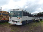 (211'845) - Transportes Tilar�n, Tilar�n - 2811 - Bluebird am 21.
