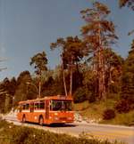 (MD342) - Aus dem Archiv: TN Neuch�tel - Nr.