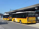 (206'859) - Schnider, Sch�pfheim - LU 15'607 - Iveco am 30.