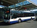 (138'235) - Globe-Limo, Gen�ve - Nr.
