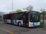 (158'576) - BOGG Wangen b.O.