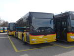 (189'895) - CarPostal Ouest - JU 65'938 - MAN/G�ppel (ex Nr.