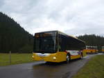 (197'843) - AVG Grindelwald - Nr. 14/BE 202'568 - MAN/G�ppel am 16. September 2018 in Gschwandtenmaad