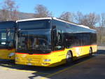 (201'594) - CarPostal Ouest - JU 41'772 - MAN/G�ppel (ex R�mocar, Mervelier; ex CJ Tramelan Nr.