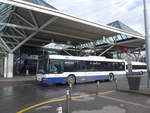 (202'287) - Globe-Limo, Gen�ve - Nr.