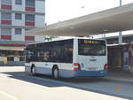 (208'244) - VBZ Z�rich - Nr.