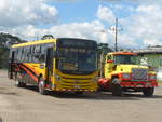 (212'212) - Transnorte de Upala, San Jos� - 6594 - Mascarello/VW am 23.