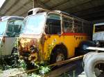 (128'262) - Jauch, G�senen - Saurer/T�scher (ex P 24'115) am 7.