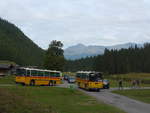 (197'782) - Schmid, Th�rishaus - BE 26'206 - Saurer/T�scher (ex P 24'244) + AVG Meiringen - Nr.