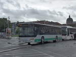 (204'672) - Ditterich, Helmstadt - W�-P 2366 - Setra am 9.