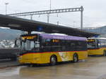 (199'529) - Schmidt, Oberb�ren - SG 304'021 - Solaris am 24.