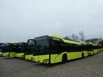 (229'918) - F�r Liechtenstein: BOS PS Anstalt, Vaduz - Nr.