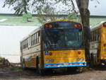 (211'332) - Transportes Tilar�n, Tilar�n - 3124 - Thomas am 15.