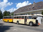 (207'532) - Steiner, Messen - SO 20'142 - Berna/Hess (ex B�rtschi, Biberen) am 7.