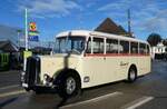 (280'982) - Steiner, Messen - SO 20'142 - Berna/Hesss (ex B�rtschi, Biberen) am 5.