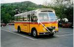 (040'433) - Rentsch, B�riswil - BE 353'048 - FBW/Gangloff (ex P 23'203; ex P 21'003) am 5.