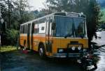 (110'316) - Oberh�nsli, Thayngen - SH 60'062 U - FBW/T�scher (ex Bus-Halter, Wil Nr.