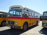 (139'663) - Jockel, Hersberg -  P 23'212  - FBW/Hess (ex M�ller, Baden-D�ttwil; ex B�tra, Birr Nr.