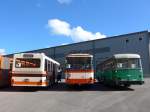 (166'008) - Wegm�ller, M�nsingen - BE 399'675 - FBW/R&J (ex Bamert, Wollerau) + Frey, Opfikon - GL 15'272 - FBW/R&J (ex Tiemann, Oetwil Nr.