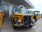 (184'357) - Gogniat, M�nchenbuchsee - BE 17'050 - FBW/FHS (ex Herzog, Muttenz; ex Kontiki, Wettingen Nr.