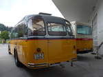 (184'374) - Gogniat, M�nchenbuchsee - BE 17'050 - FBW/FHS (ex Herzog, Muttenz; ex Kontiki, Wettingen Nr.