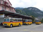 (197'705) - M�ller, Ennetmoos - NW 23'167 - FBW/Gangloff (ex Rentsch, Gunten; ex P 23'203; ex P 21'003) + Frutig, Birmensdorf - ZH 560'883 - FBW/FHS (ex P 23'217) + Schmid, Th�rishaus - BE 26'206 -