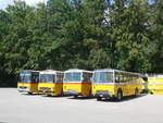 (220'096) - Wittig, N�rensdorf - ZH 205'322 - FBW/FHS (ex Tiemann, Oetwil Nr.