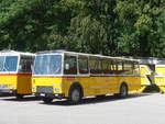 (220'097) - Wittig, N�rensdorf - ZH 205'322 - FBW/FHS (ex Tiemann, Oetwil Nr.