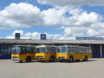 (220'125) - Wittig, N�rensdorf - ZH 205'322 - FBW/FHS (ex Tiemann, Oetwil Nr.
