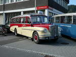 (228'496) - R�llin, Hirzel - FBW/FHS (ex Fl�ckiger, Rickenbach; ex Rieben, Aesch; ex Pfister, Th�rnen) am 2.