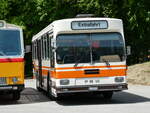 (235'636) - Wegm�ller, M�nsingen - BE 399'675 - FBW/R&J (ex Bamert, Wollerau) am 15.