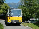 (238'263) - Wittwer, Chur - GR 16'004 - FBW/Gangloff (ex Eggenberger, M�riken; ex AVG Grindelwald Nr.