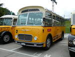 (239'613) - R�ber, Mettmenstetten - ZH 546'297 - FBW/Gangloff (ex P 23'202; ex P 21'002) am 27.