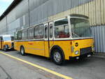 (249'712) - Wittig, N�rensdorf - ZH 205'322 - FBW/FHS (ex Tiemann, Oetwil Nr.