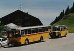 (MD500) - Aus dem Archiv: Wespe, Altst�tten - FBW/T�scher (ex P 24'800) im Jahr 2003