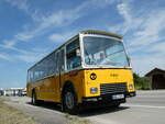 (251'023) - Hahn, M�nchen - HSK-C 59H - FBW/FHS (ex Michels, Schmallenberg; ex FRAM Drachten/NL Nr.