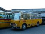 (255'902) - R�ber, Mettmenstetten - ZH 546'297 - FBW/Gangloff (ex P 23'202; ex P 21'002) am 7.