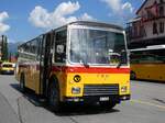 (277'378) - Lambach, Gommiswald - NW 24'301 - FBW/Eggli (ex Tanner+Lambach, Reigoldswil; ex Lambach, Rieden; ex Meier, Gr�t; ex AVG Grindelwald Nr.