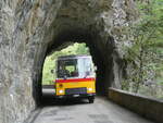 (277'466) - Lambach, Gommiswald - NW 24'301 - FBW/Eggli (ex Tanner+Lambach, Reigoldswil; ex Lambach, Rieden; ex Meier, Gr�t; ex AVG Grindelwald Nr.