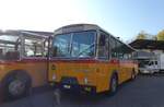 (281'614) - Stutz, Jonen - AG 8141 - FBW/Hess (ex Dubach, Walde) am 18. Oktober 2025 in N�fels, FBW-Museum